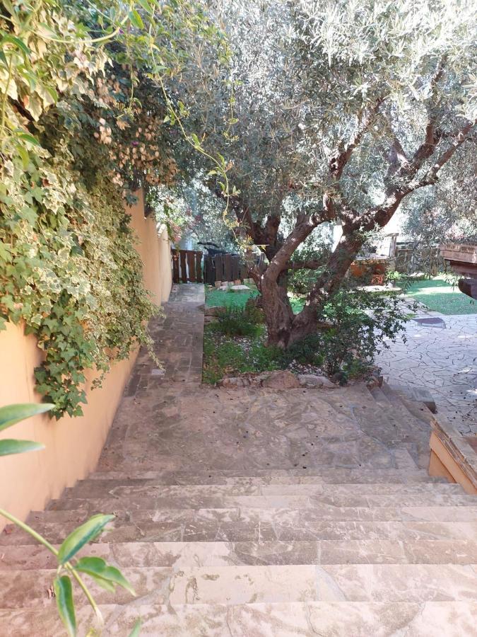 L'Orchidea Villa Capitana Luaran gambar